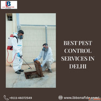 Best Pest Control Services in Delhi - Safe Reliable Solution...