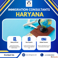 Overseas Education Visa Consultants In Haryana