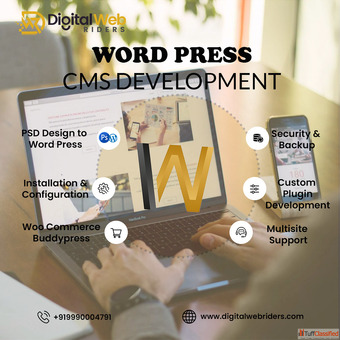 Top WordPress Development Company Custom WordPress Expert