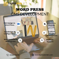 Top WordPress Development Company Custom WordPress Expert