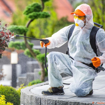 DR Pest Control Services for Best Termite Control Kolkata