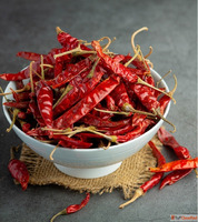 Best Dried Red Chilli Suppliers in Dispur