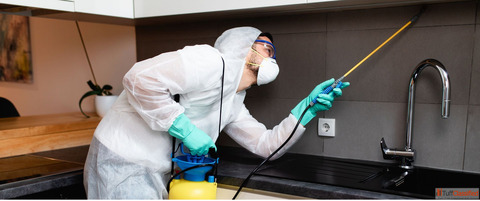 The most Dependable termite control services in kolkata