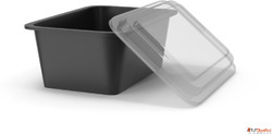 Ice Cream Packaging Container Manufacturer