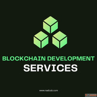 Why Businesses Need Blockchain Development Services Today