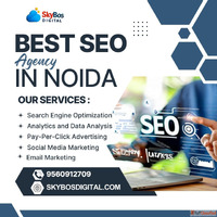 Best SEO Agency in Noida - Drive Traffic Boost Rankings Grow...