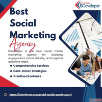 Leading Social Media Marketing Agency - Bdeveloper