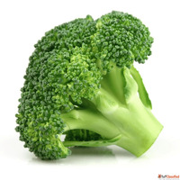 Top Discount Offer - Buy Broccoli Seeds Online in India