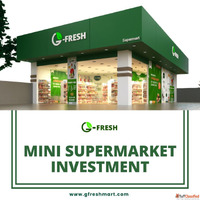 How Does the Mini Supermarket Investment Reduce Entry Risks