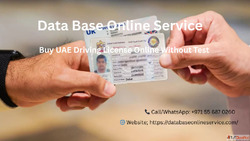 Thinking of Buying a UAE Driving License Online Here's ...