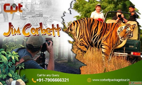 Best Jim Corbett Packages - CorbettPackageTour