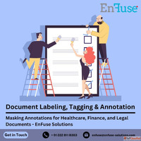 Choose EnFuse for Masking Annotations for Legal Documents