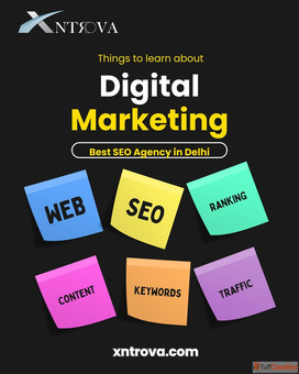 Where Can I Find the Best SEO Agency in Delhi