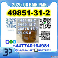 2-Bromo-1-Phenyl-Pentan-1-One 49851-31-2 BMK PMK bk4 2b4m So...