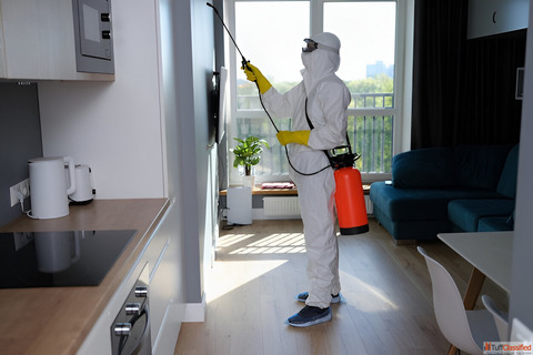 Reliable Termite Control in Kolkata for Your Peace of Mind