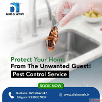 Best Pest Control Kolkata- Dial A Wash