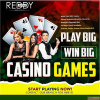 Play Online Games with Ready Anna - Fun Rewards Await