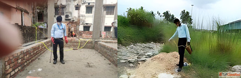 Providing Eco-friendly Pest Management Services in Kolkata