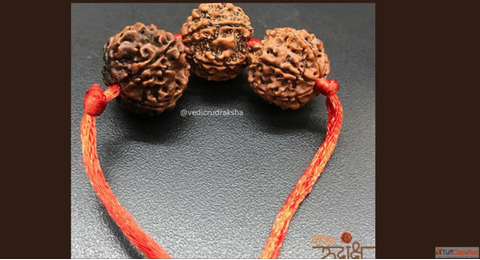Experience Divine Wisdom with Rudraksha in Haridwar