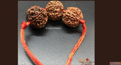 Experience Divine Wisdom with Rudraksha in Haridwar