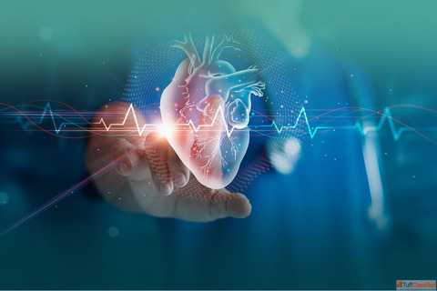 Best Cardiologist in Punjab