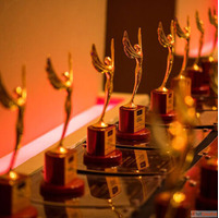 Get Recognized Globally with International Award Ceremonies ...