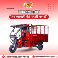 E Rickshaw Manufacturers In Punjab