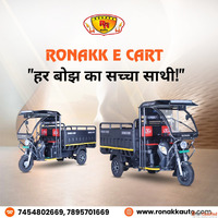 Battery Operated Auto Rickshaw
