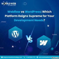 Webflow vs WordPress Development Services Comparison