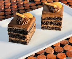 Catering for Yacht Party - Cater Inc