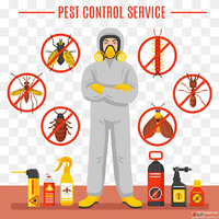 Pest Control Service Near Me - Safe Fast Affordable from 699