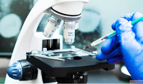 ivf center in agra