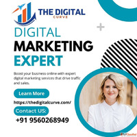 SEO Services in Ghaziabad