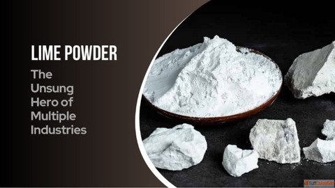 Pure Organic Lime Powder - Natural Flavor Boost for Cooking Beverages