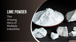 Pure Organic Lime Powder - Natural Flavor Boost for Cooking ...