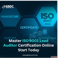 How Certified ISO 90012015 Lead Auditors are Driving Digital...