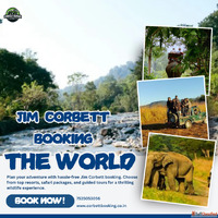 Why Is Corbett Booking Essential for a Perfect Jim Corbett T...