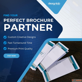Which Brochure Design Company Fits Your Vision Best