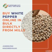 Buy White Pepper Online in Bulk Directly From Mills