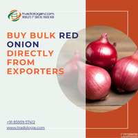 Buy Bulk Red Onion Directly From Exporters