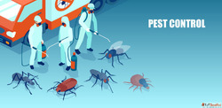 Best Mosquito Pest Control Near Me