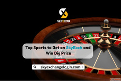 Top Sports to Bet on SkyExch and Win Big Price