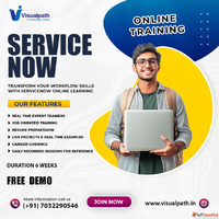 ServiceNow Training in Hyderabad SurviveNow Course at Visual...