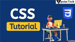 CSS Tutorial with Example