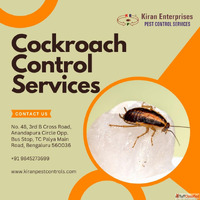 Cockroach Control Services in Yashwanthpur Safe Trusted