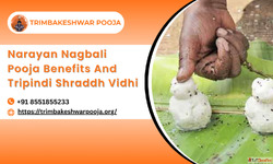 Narayan Nagbali Pooja Benefits And Tripindi Shraddh Vidhi