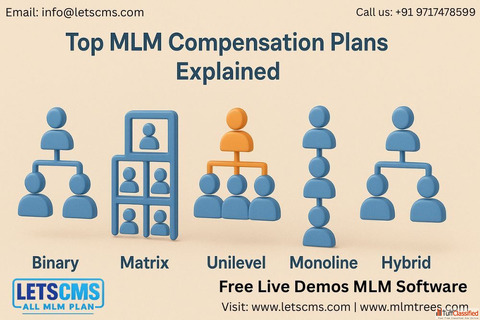 Top MLM Compensation Plans for Binary Matrix Unilevel Monoline Hybrid Models