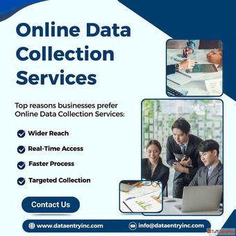Best Online Data Collection Services in India