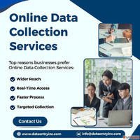 Best Online Data Collection Services in India