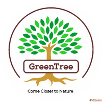 GreenTree Best Skin Care Products in Dubai